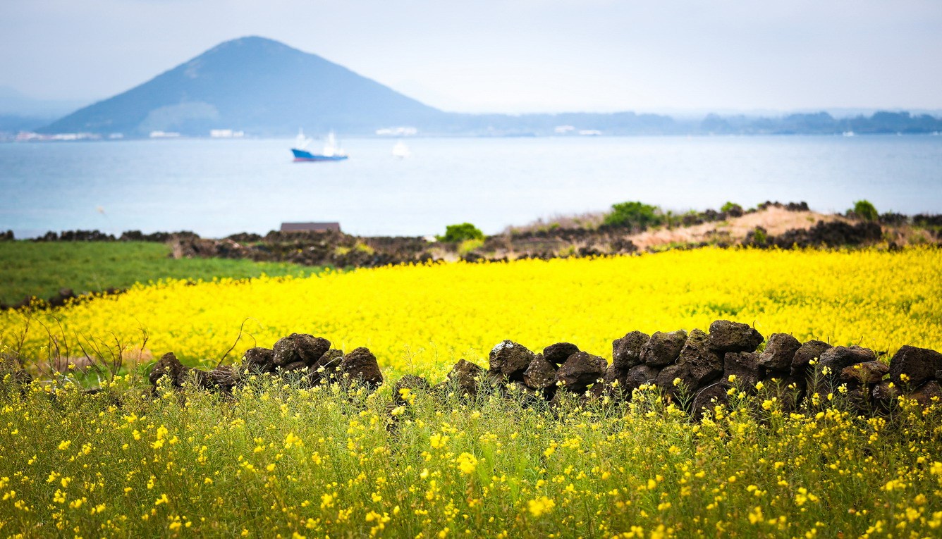 Đà Nẵng Hàn Quốc Đảo Jeju 3 Ngày 3 Đêm