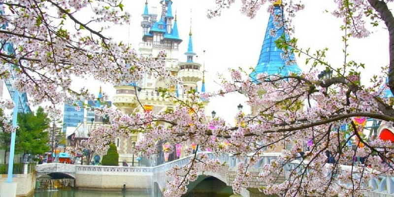 Đà Nẵng Seoul Nami Everland 5 Ngày 4 Đêm 