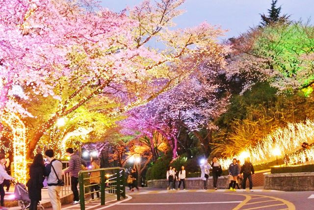 Đà Nẵng Seoul Nami Everland 5 Ngày 4 Đêm 