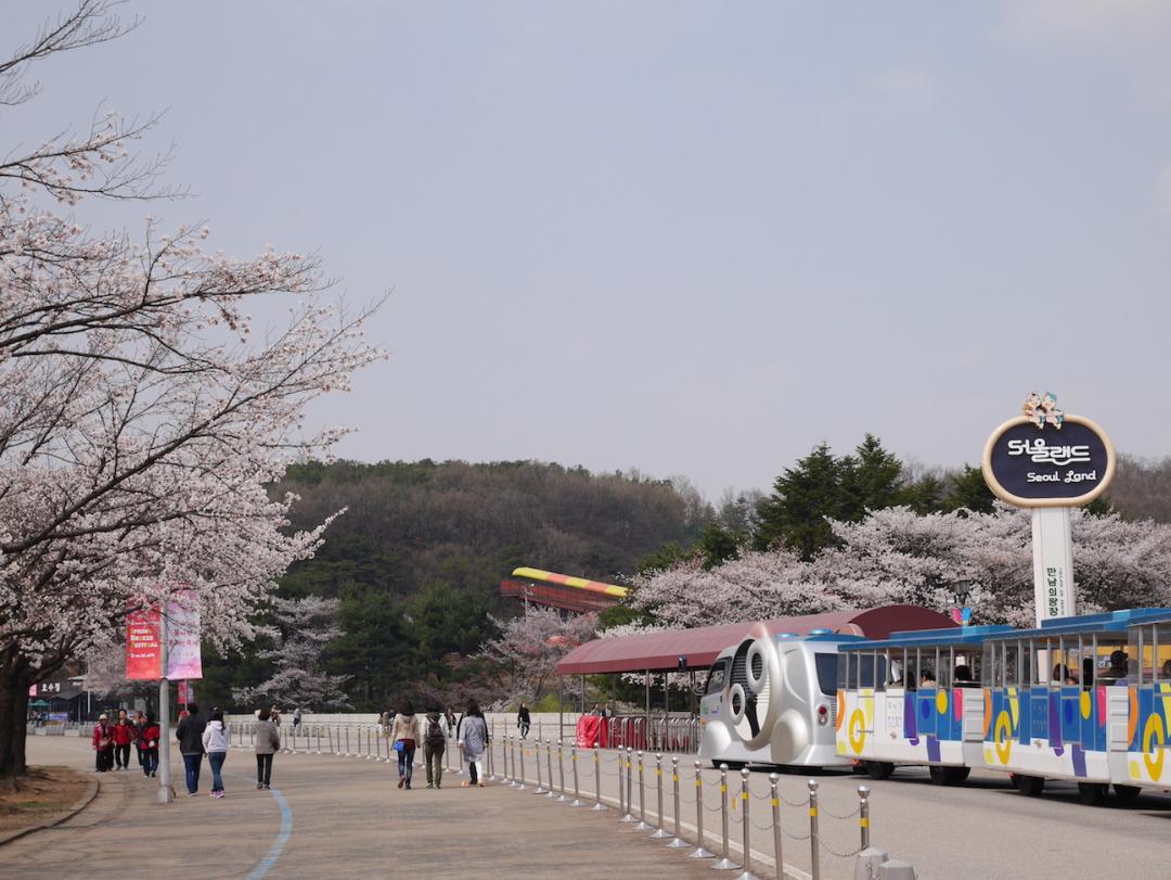 Đà Nẵng Seoul Nami Everland 5 Ngày 4 Đêm 